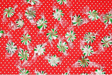 中式克苏鲁解谜AVG 《苍白花树繁茂之时》Steam完整版上架